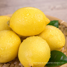 Frische Frucht-hohe Ernährung saftige Zitrone